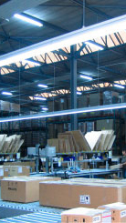 Warehouse illuminated effectively with Philips dynamic lighting 
